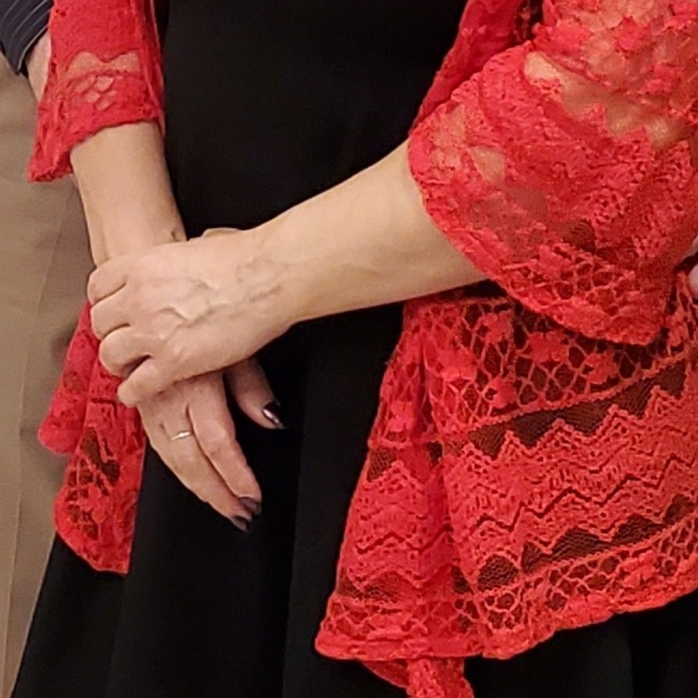 Sheer Red Lace - Picture 6 of 9